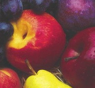 Lite - Monthly Fruit Delivery (12 Months)