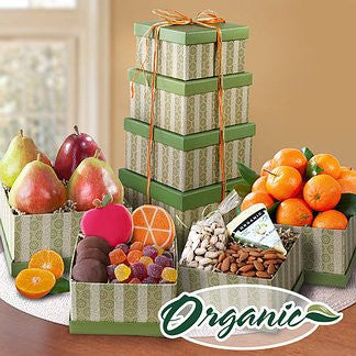 Grande Organic Fruit Cheese and Treat Tower